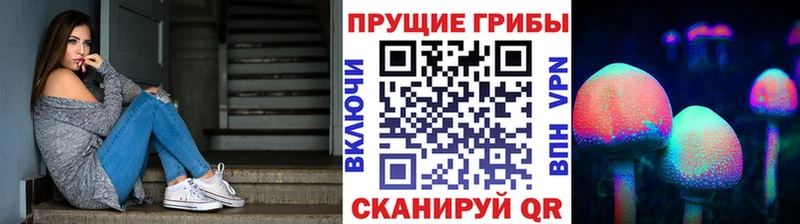 Купить где  Истра  Галлюциногенные грибы Magic Shrooms 